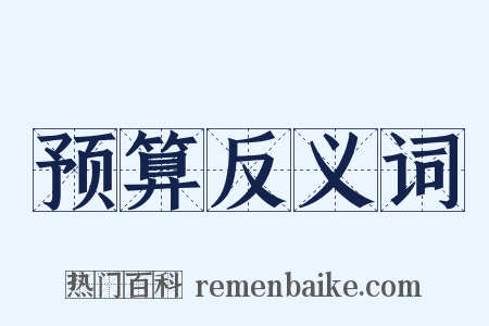 预算反义词是什么意思的图片